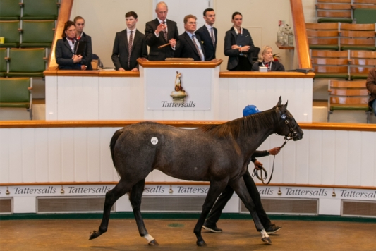 Godolphin and Ghaiyyath grab the Newmarket headlines