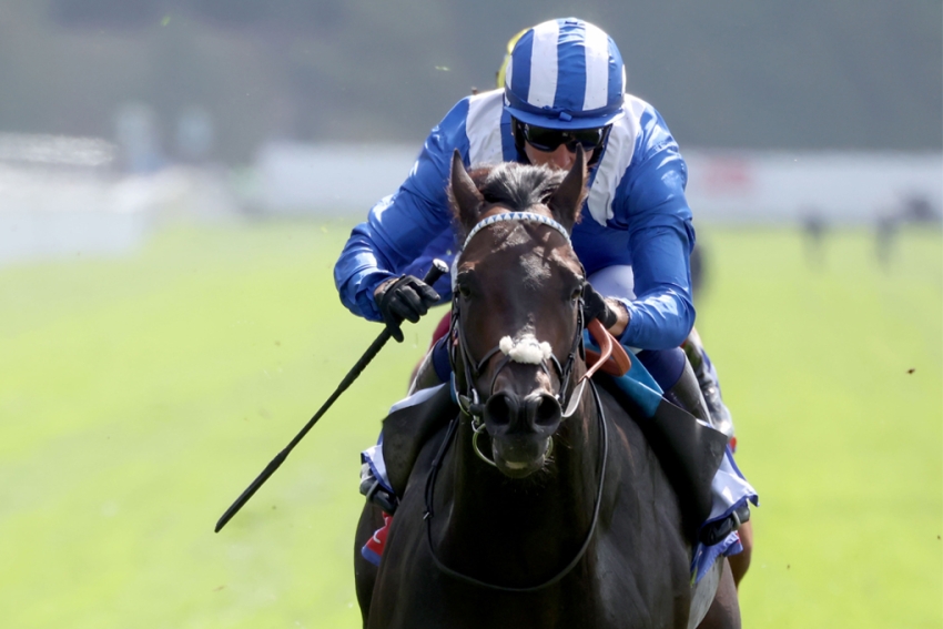 Shadwell poised to play their part in vintage Juddmonte