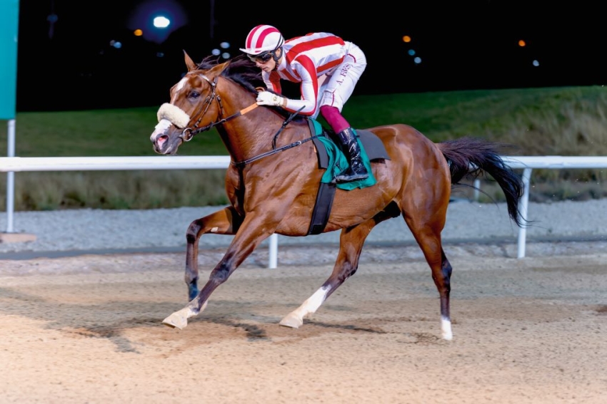 AA LAHAB FACES STIFF AL AIN MILE TASK, BIDS TO DEFEND UNBEATEN STREAK