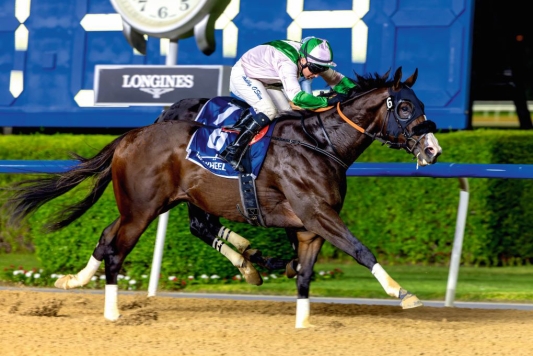 HH Sheikh Hamdan bin Rashid Al Maktoum Cup is main event at Sharjah