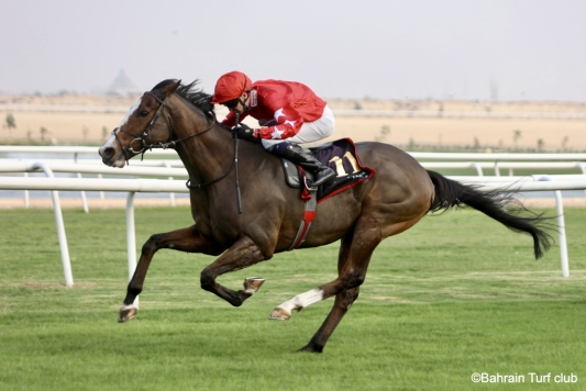 Spirit Dancer helps Sir Alex Ferguson score in Bahrain 